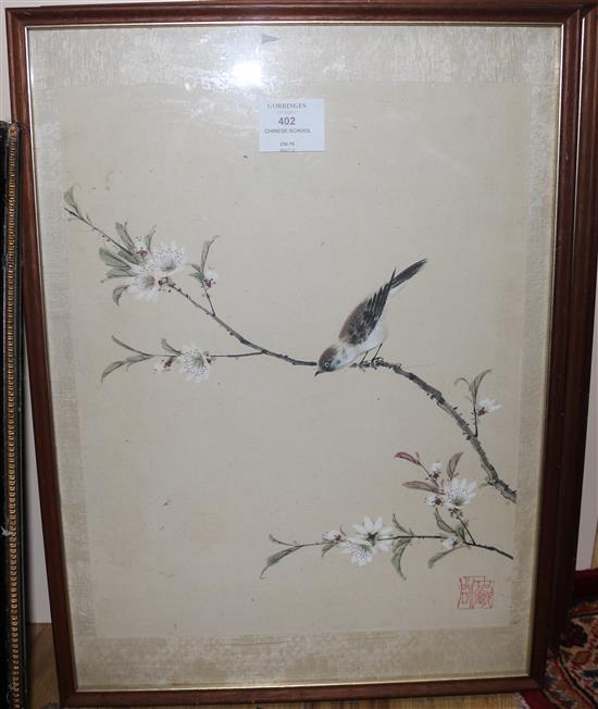 Chinese School Studies of birds and flowers 14.5 x 11.5in.